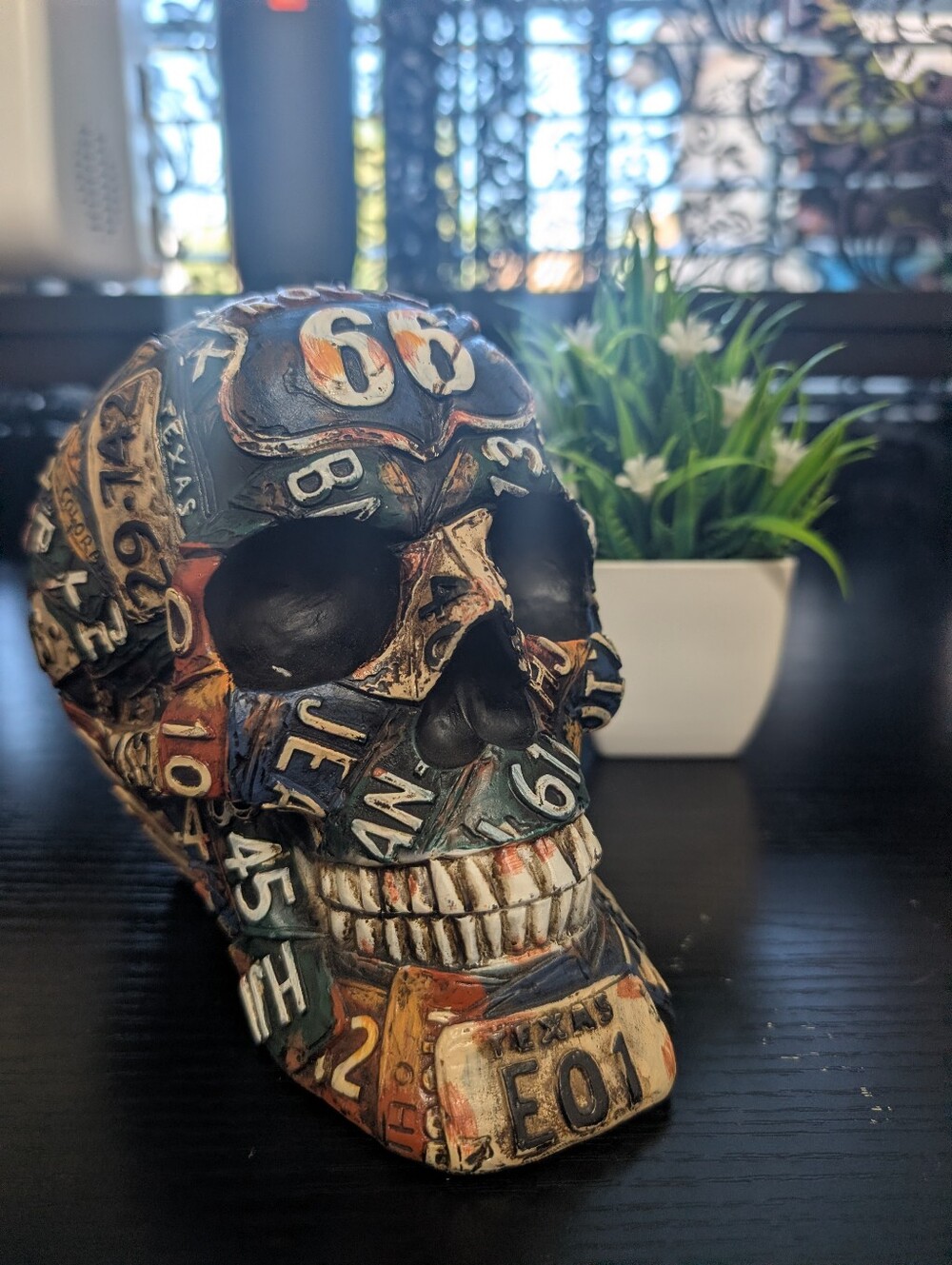 Decorative License Plate Skull Accent - Multicolor